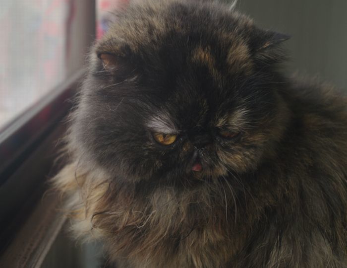 IMGP0384.JPG