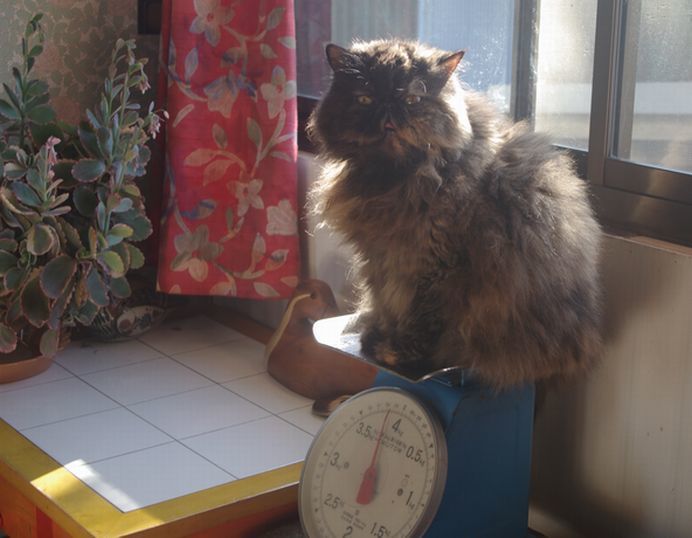 IMGP0902.JPG