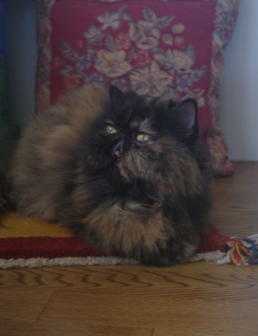 IMGP6755.JPG